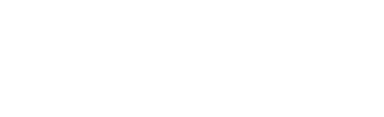 Bosta