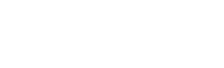 Bosta